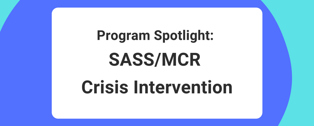 SASS MCR Blog Banner